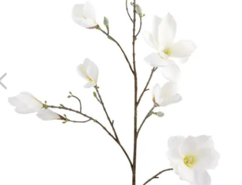 Floral, Magnolia Stems, Set of 6  $40